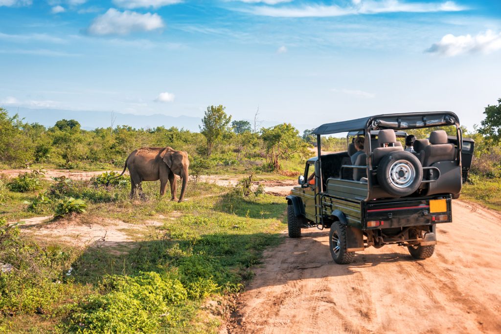 clothing on a safari in Tanzania