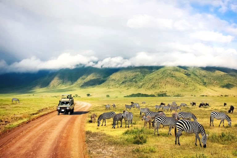 What can you expect from a safari in Tanzania?