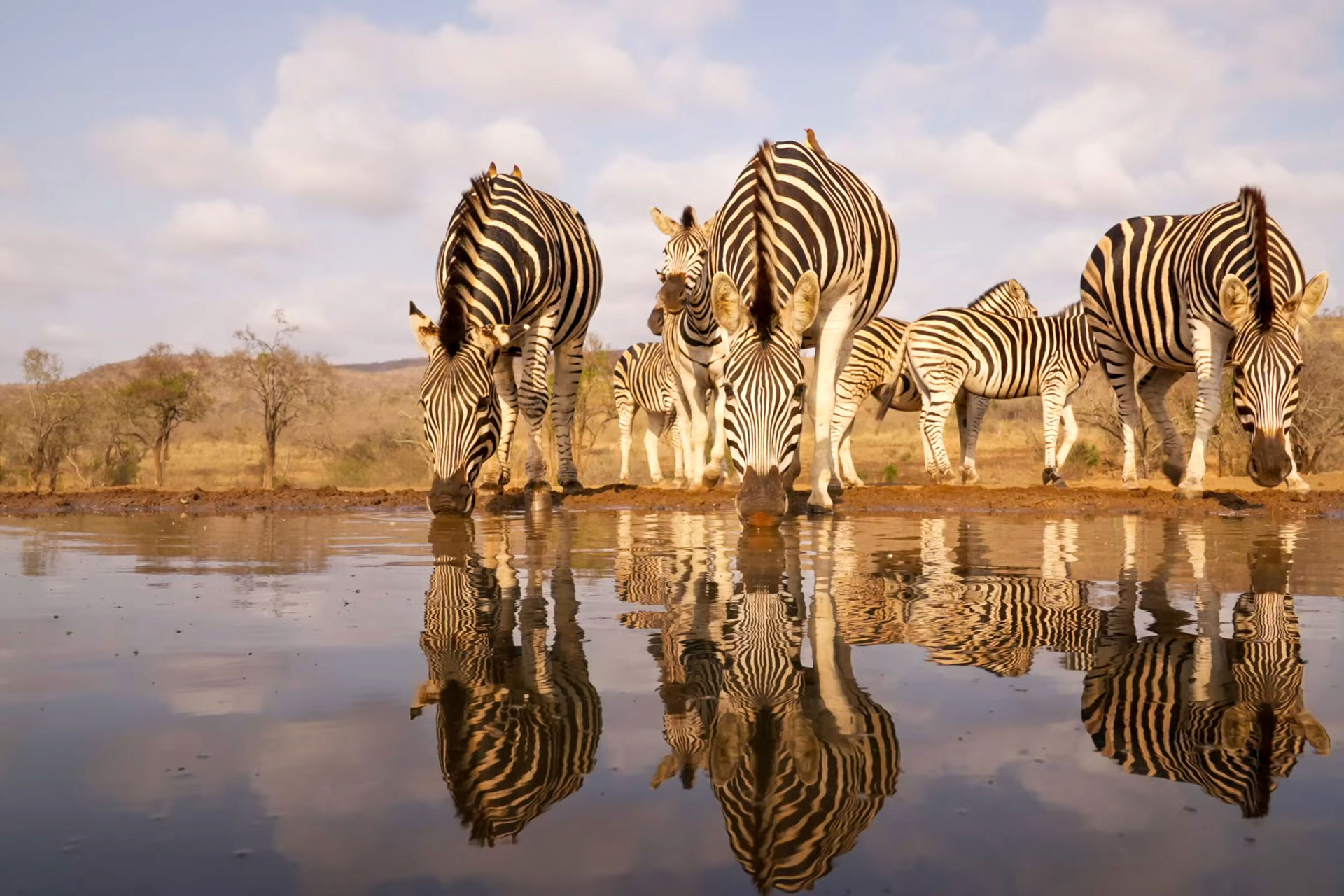 The Ngorongoro Conservation Area