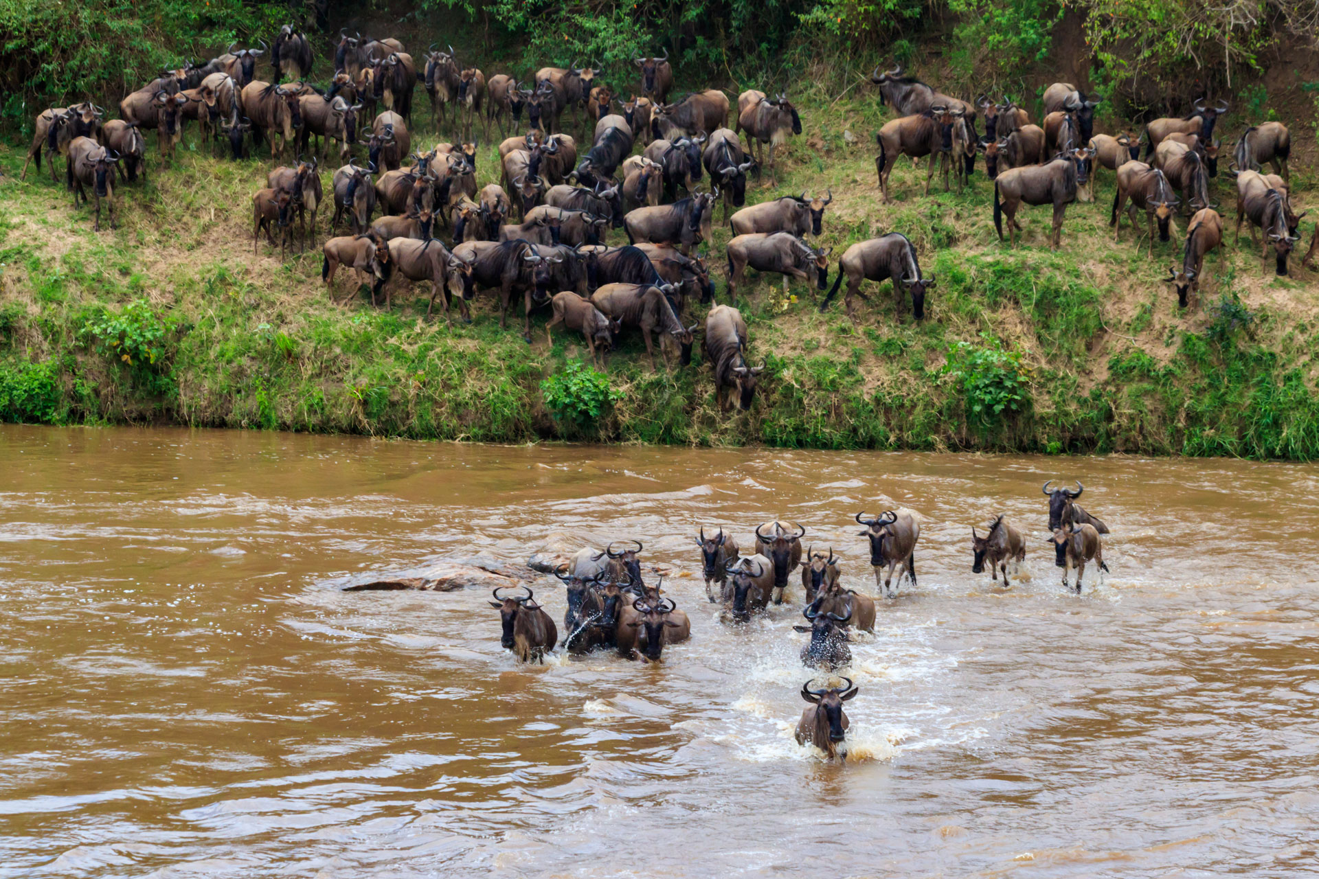 The Serengeti National Park