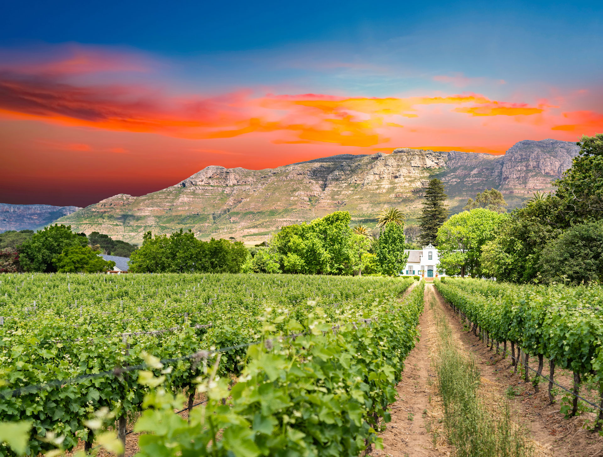 Rioja