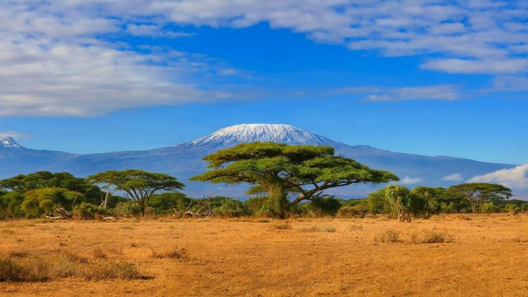Adventure Travel in Africa: Mountain Climbing, Safaris & Adventure Parks