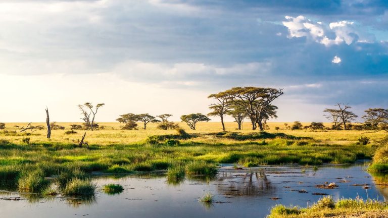 Cultural Experiences in Africa: Festivals, Exchange, and Heritage Sites