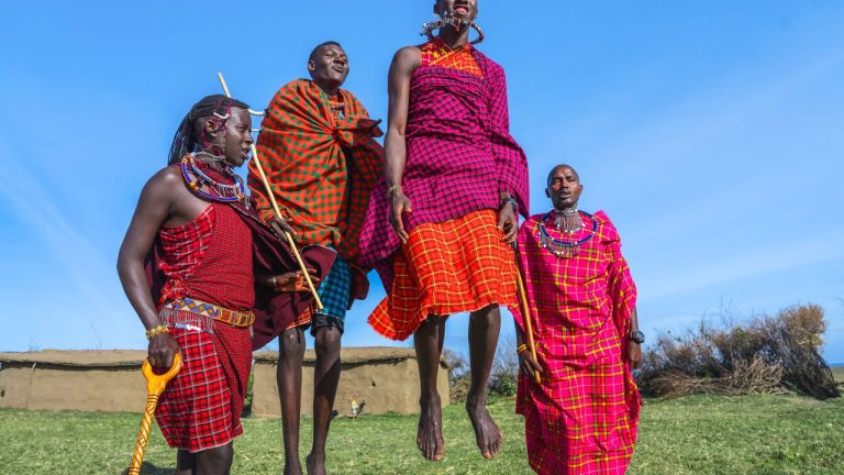 Safari in Africa: Animal Sightings & Safari Tips