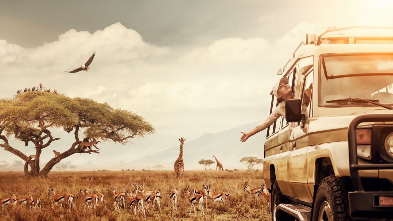 Adventure Travel in Africa: Extreme Sports, Mountain Climbing, Paragliding