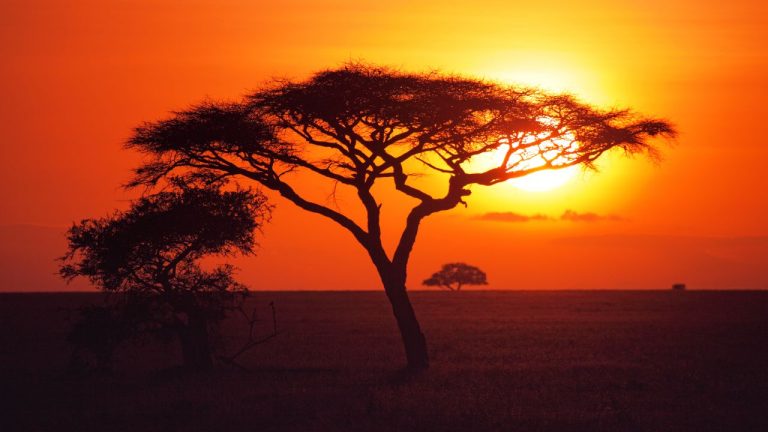Zanzibar Beach Holiday: Water Sports, Activities & Conservation