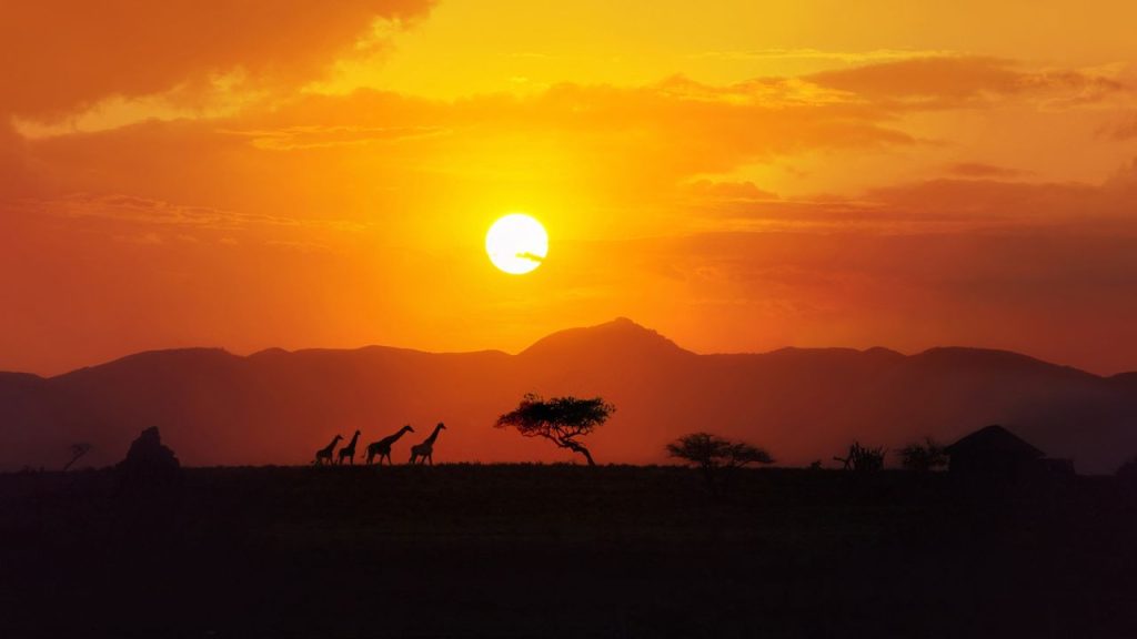 Adventure Travel in Africa: Thrilling Experiences Await