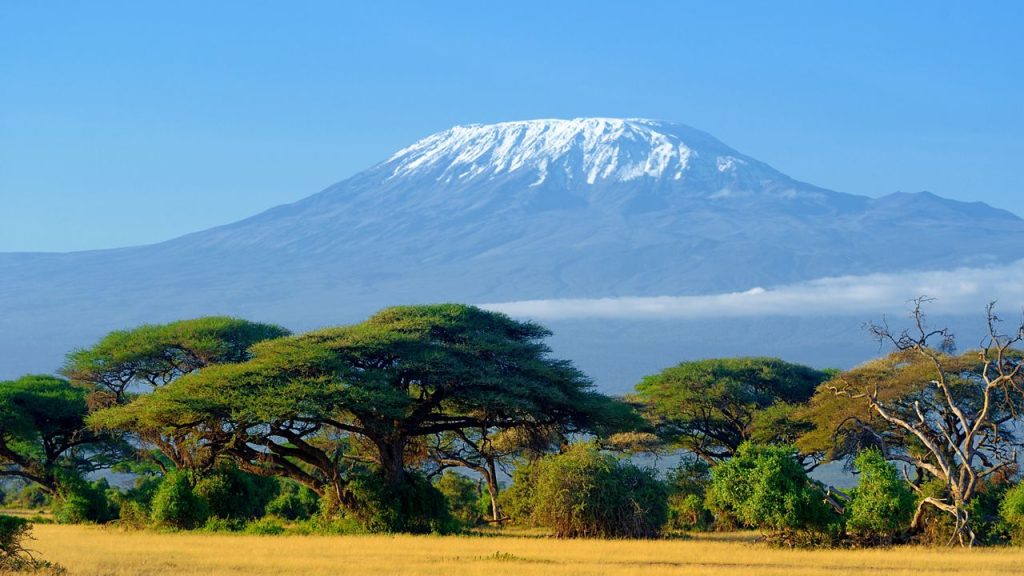 African Safari: National Parks, Culture, and Packing List