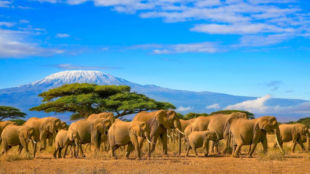Exploring Africa's Enchanting Beaches