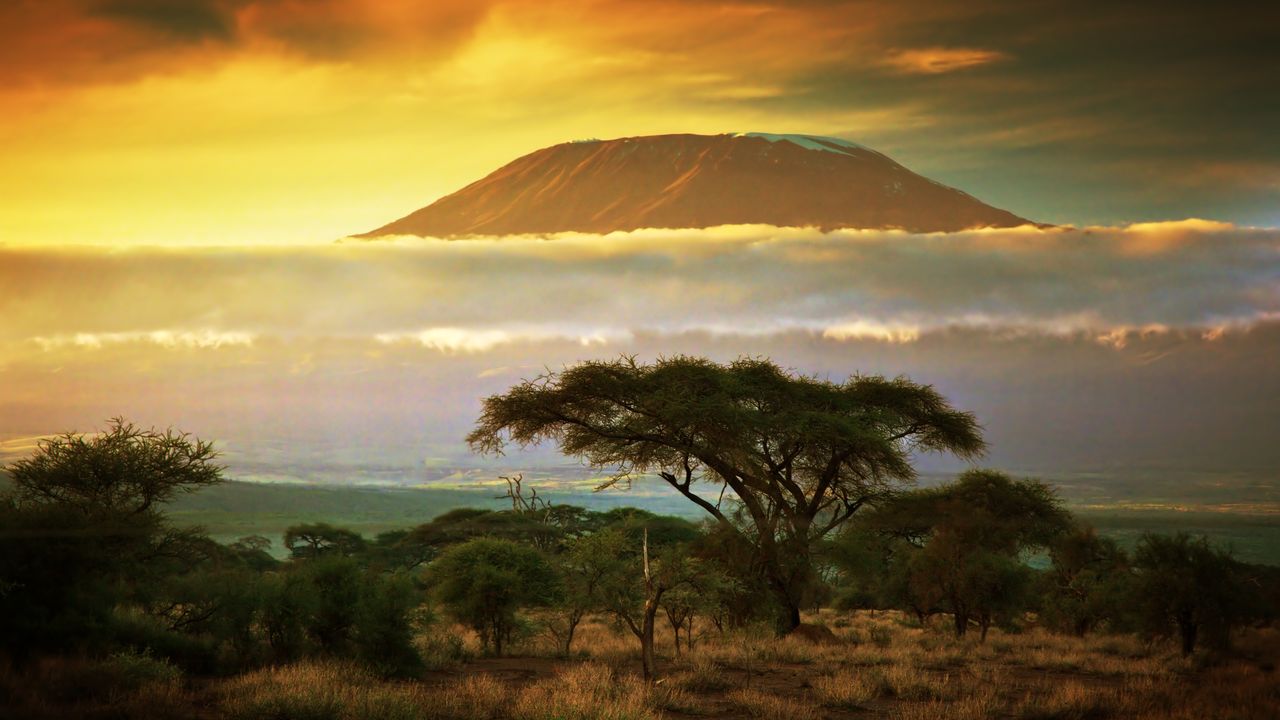Safari in Africa: Exploring the Wild