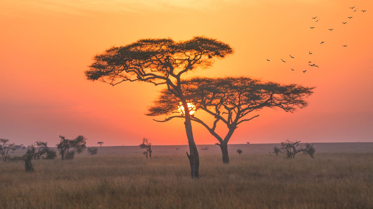 African Beach Holidays: Paradise Found