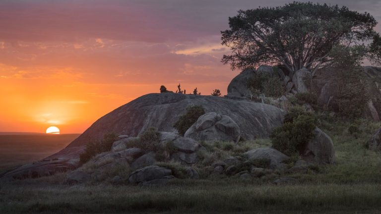 Conquer Kilimanjaro: The Ultimate Trekking Adventure