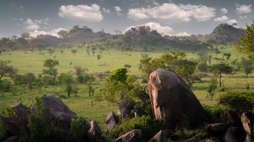 Exploring the Serengeti National Park