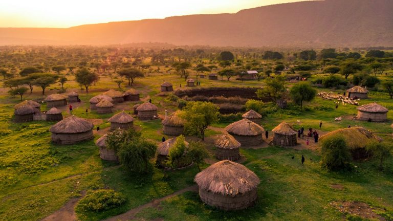 Embark on an African Safari Adventure